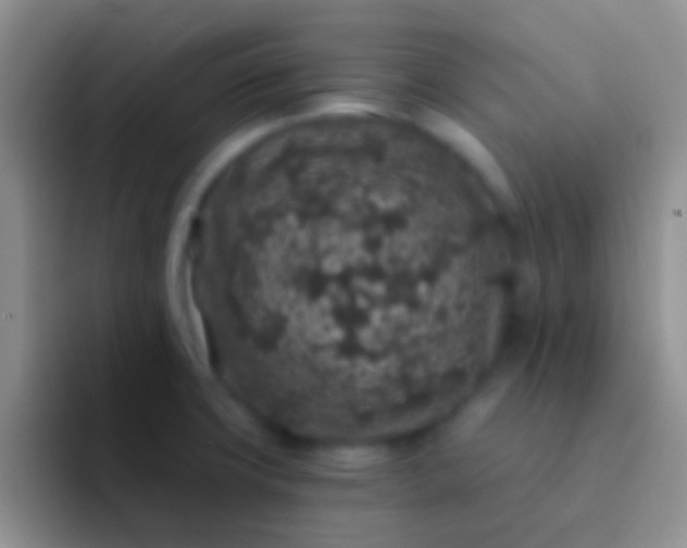 X0000092081427200709262056