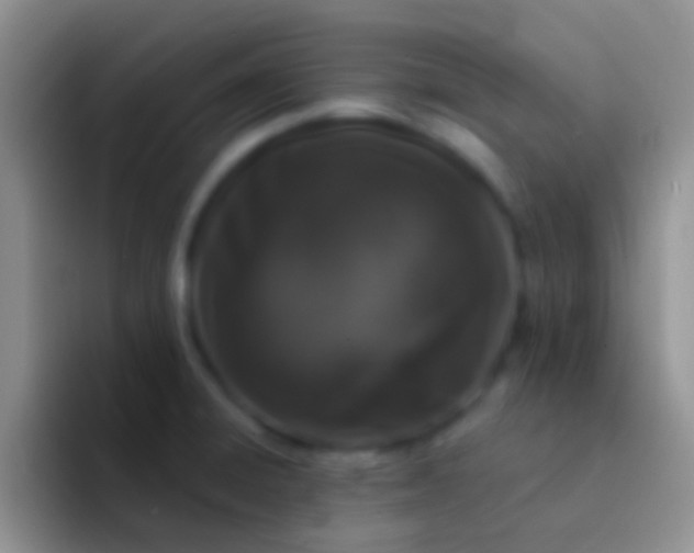 X0000092081428200709262056