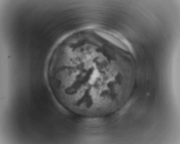 X0000092081429200709262056