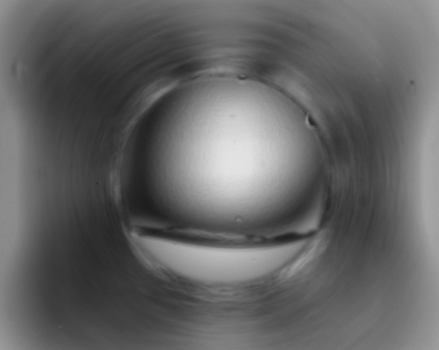 X0000092081433200709262056