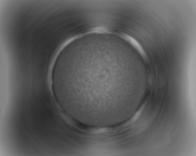 X0000092081435200709262056
