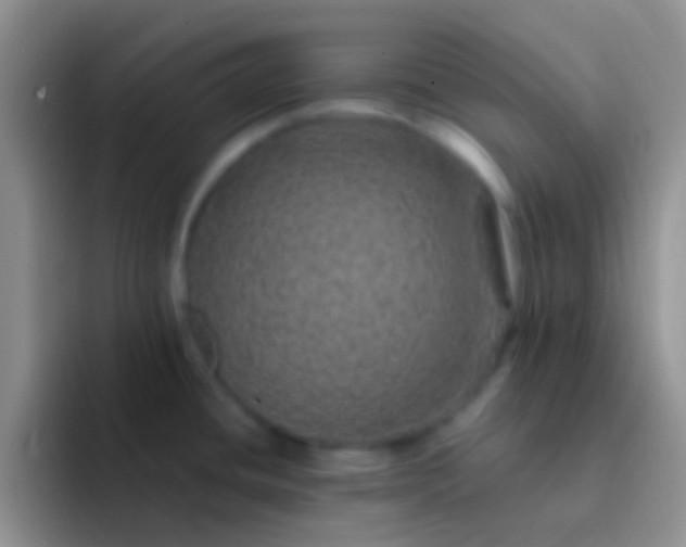 X0000092081436200709262056