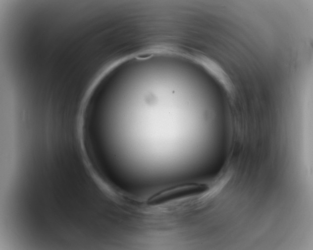 X0000092081438200709262056