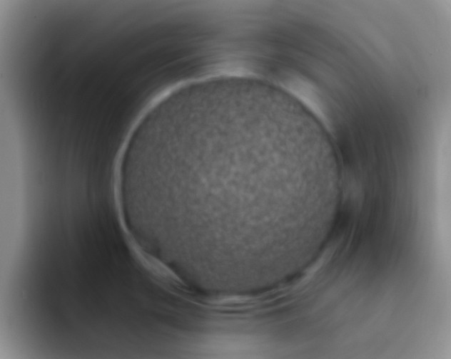X0000092081439200709262056