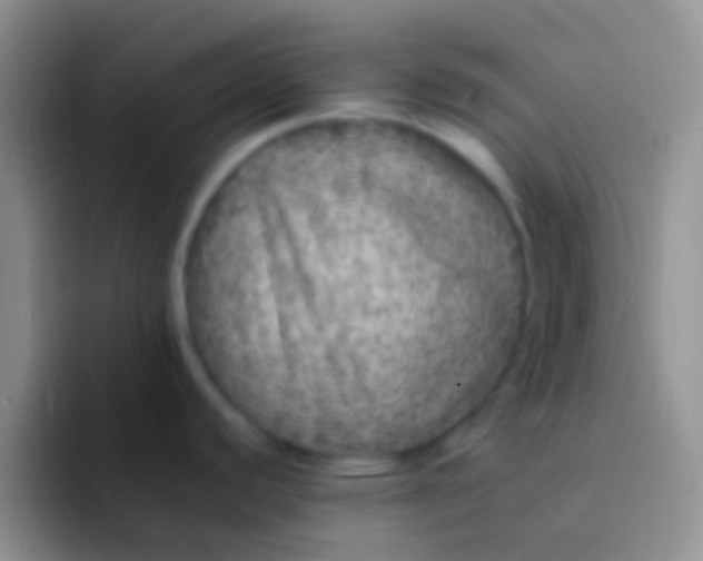 X0000092081440200709262056