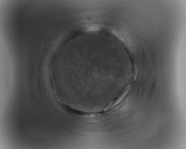 X0000092081441200709262055