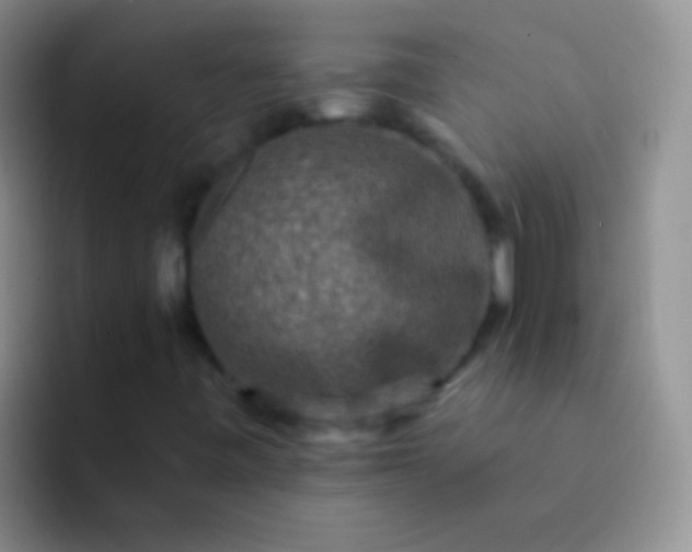 X0000092081443200709262055