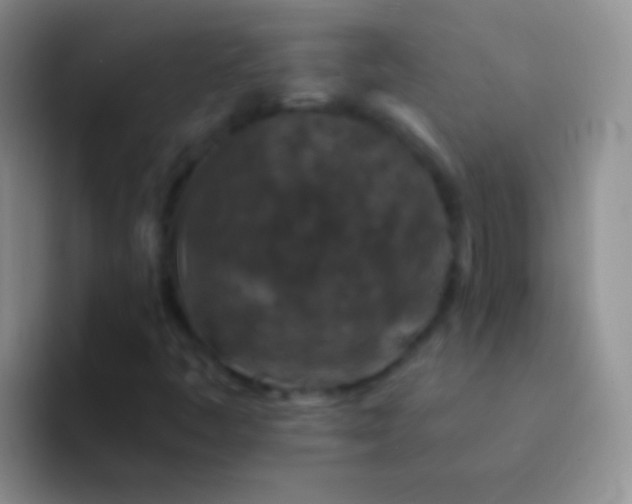 X0000092081445200709262055