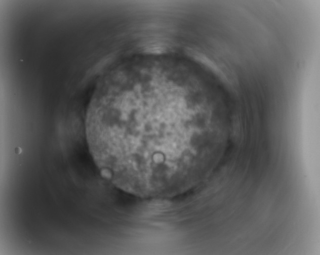 X0000092081446200709262055