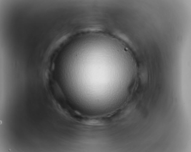 X0000092081448200709262055