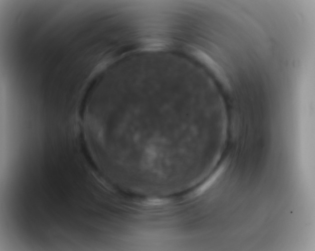 X0000092081449200709262055