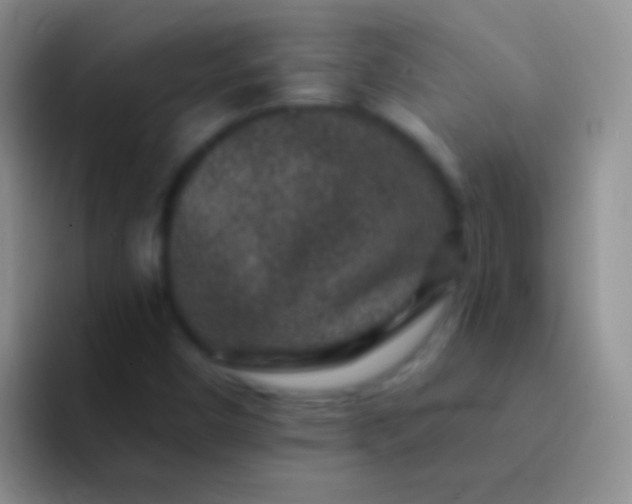 X0000092081450200709262055