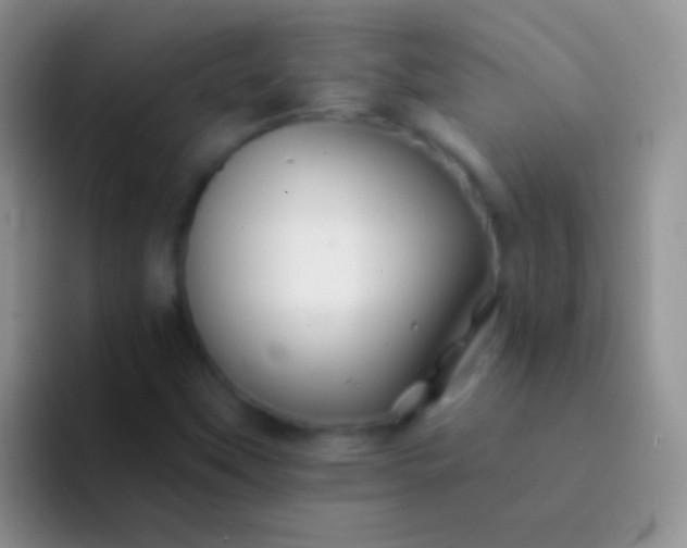 X0000092081451200709262055