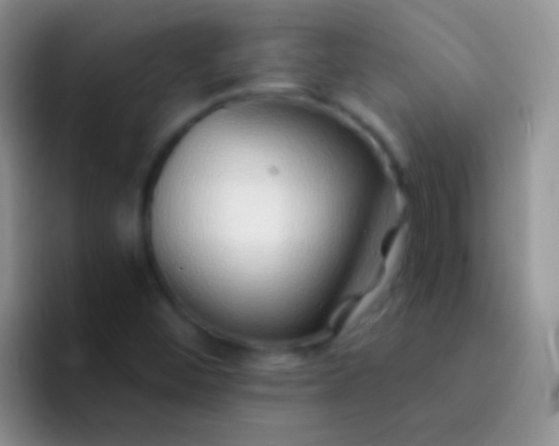 X0000092081452200709262055