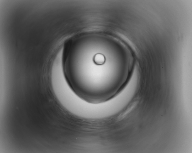 X0000092081453200709262055