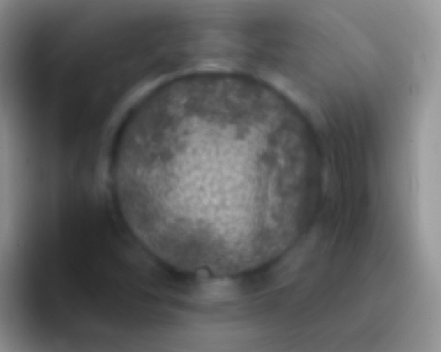 X0000092081454200709262055