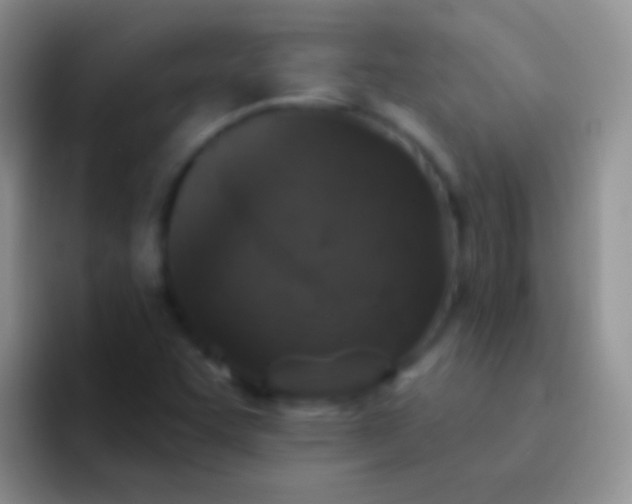X0000092081455200709262055