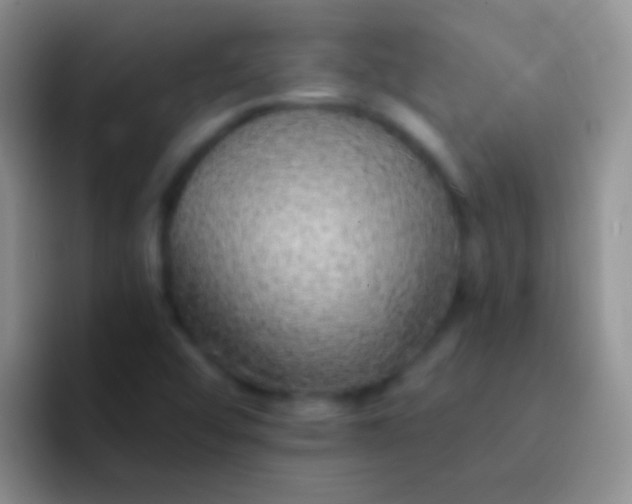 X0000092081456200709262055