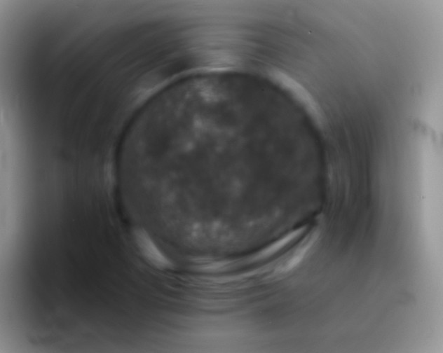 X0000092081457200709262055
