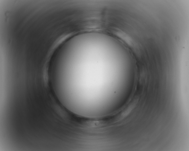 X0000092081458200709262055