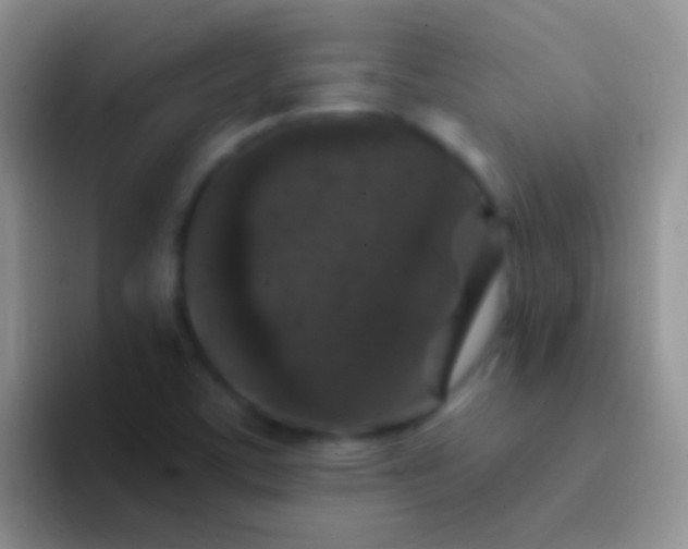 X0000092081459200709262055