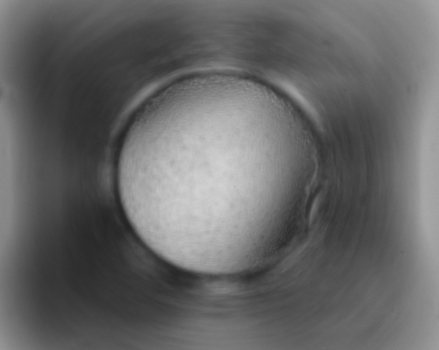 X0000092081460200709262055