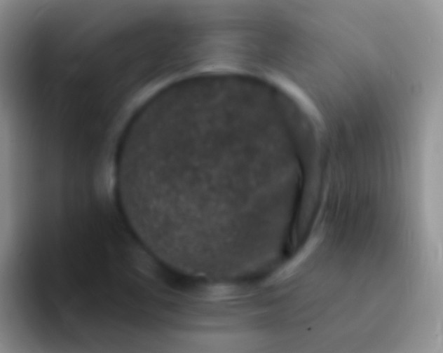 X0000092081461200709262055