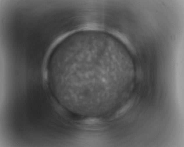 X0000092081462200709262055