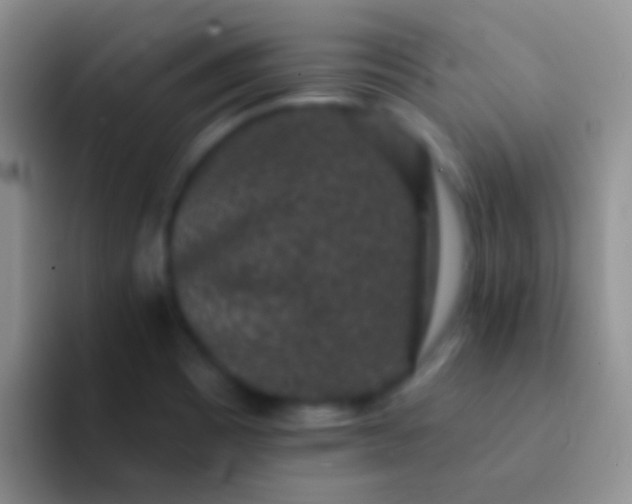 X0000092081465200709262055