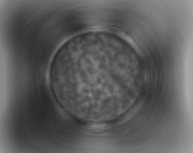 X0000092081466200709262055