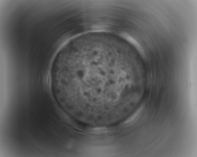 X0000092081467200709262055