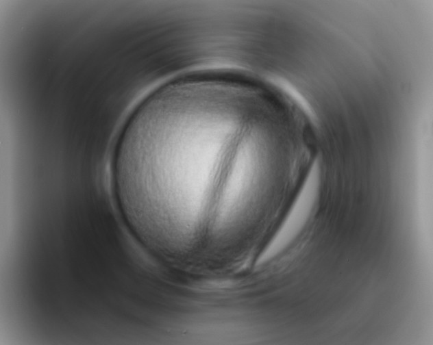 X0000092081468200709262055