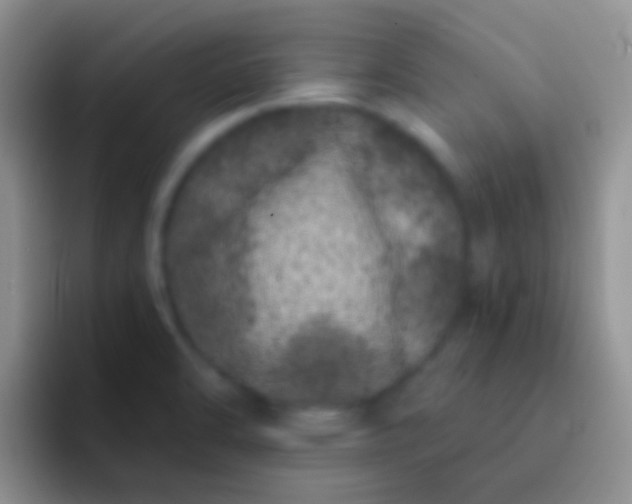 X0000092081470200709262055