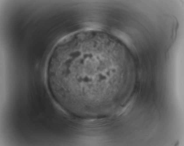 X0000092081471200709262055