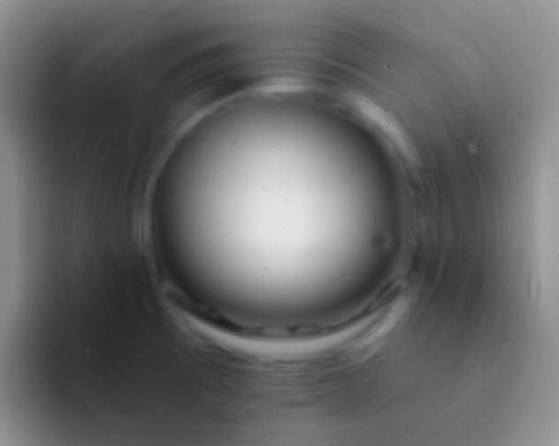X0000092081473200709262055