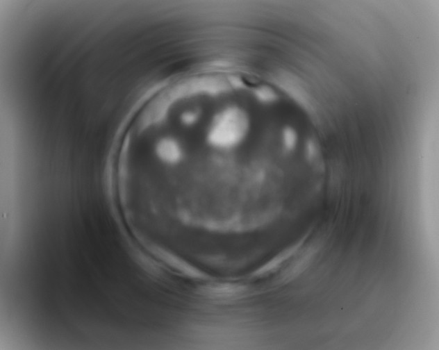 X0000092081474200709262055