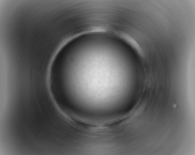 X0000092081475200709262055
