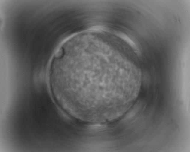X0000092081478200709262055
