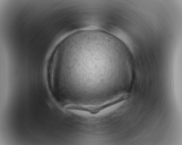 X0000092081480200709262055