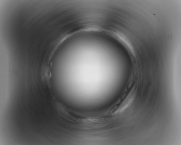 X0000092081481200709262055