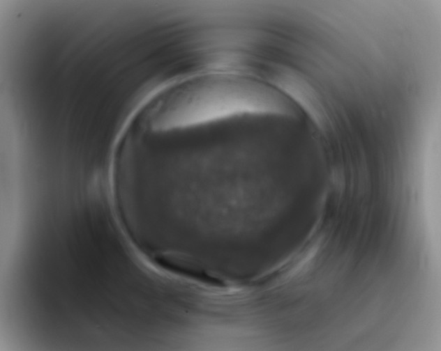 X0000092081482200709262055