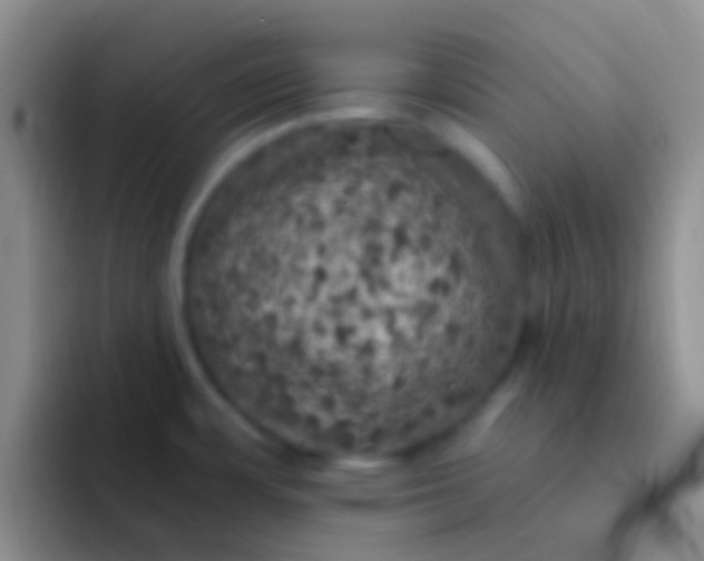 X0000092081483200709262055
