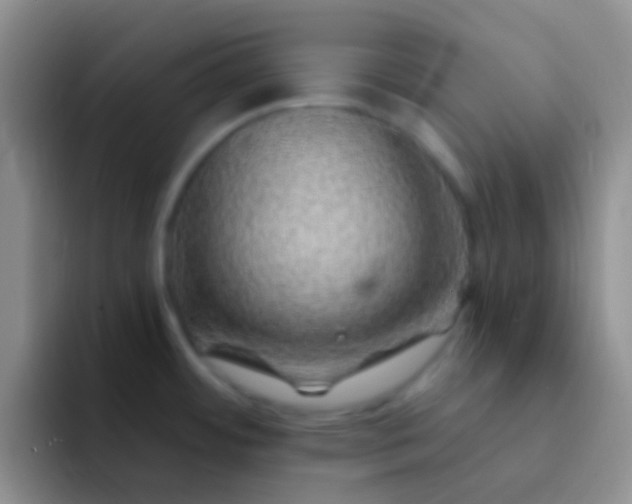 X0000092081484200709262055