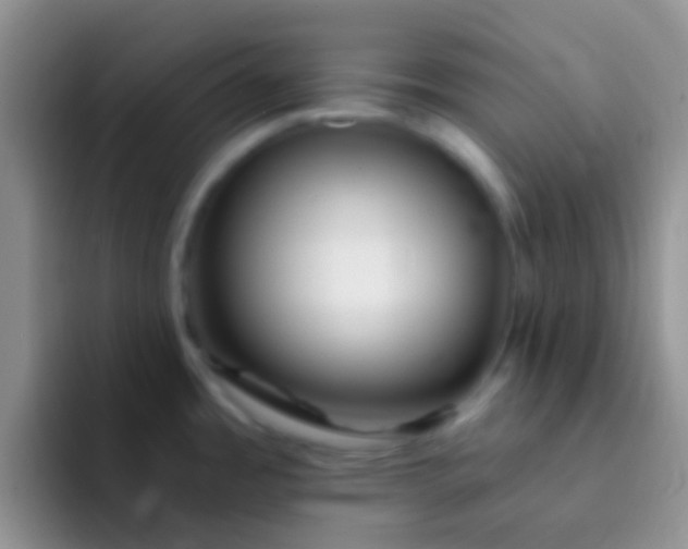 X0000092081485200709262055