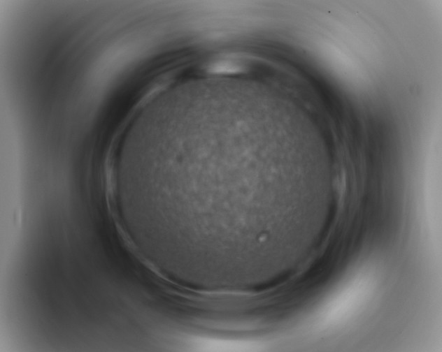 X0000092081487200709262055