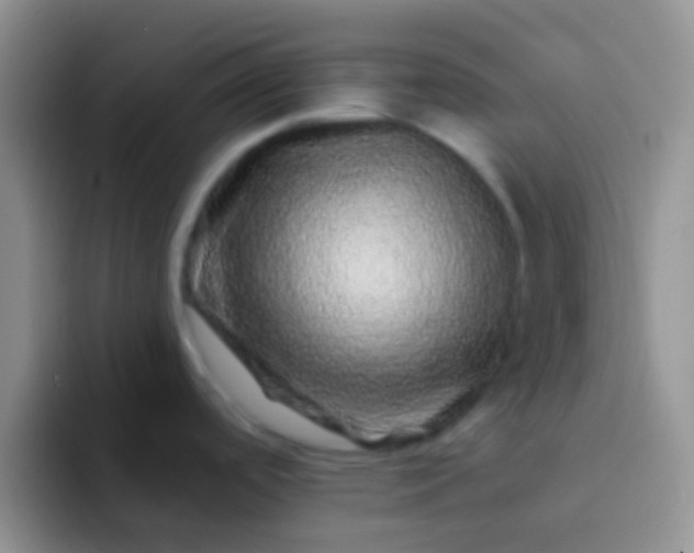 X0000092081488200709262055