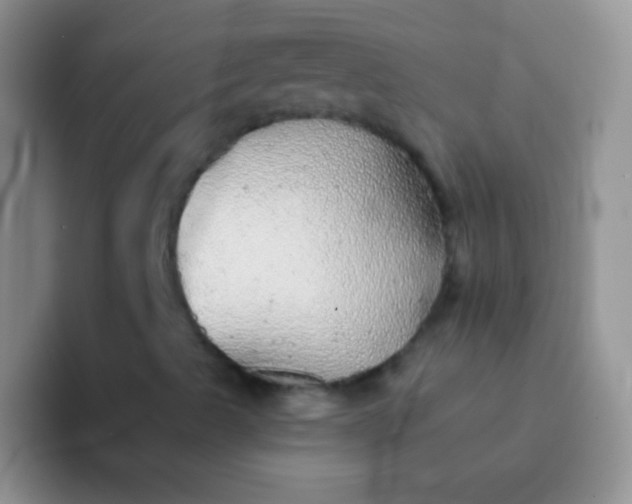 X0000092081489200709262054