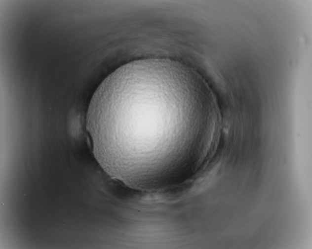 X0000092081490200709262054