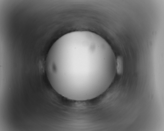 X0000092081491200709262054