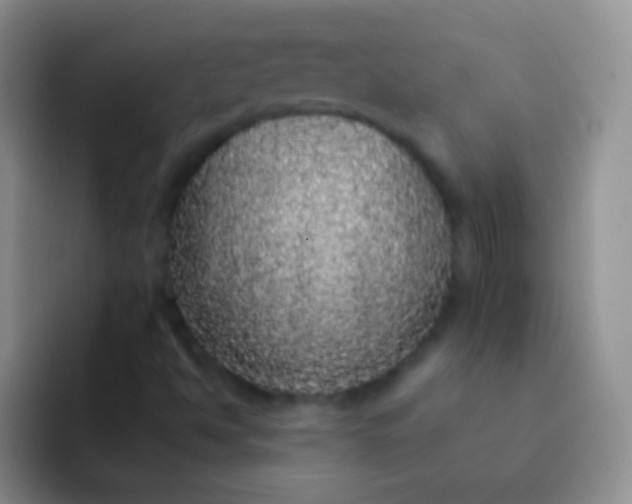 X0000092081494200709262054
